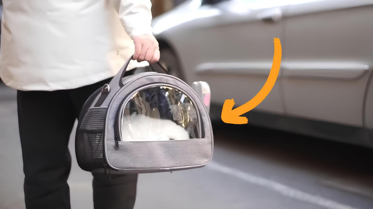 Your Bunny Needs These 10 Things Right Now!