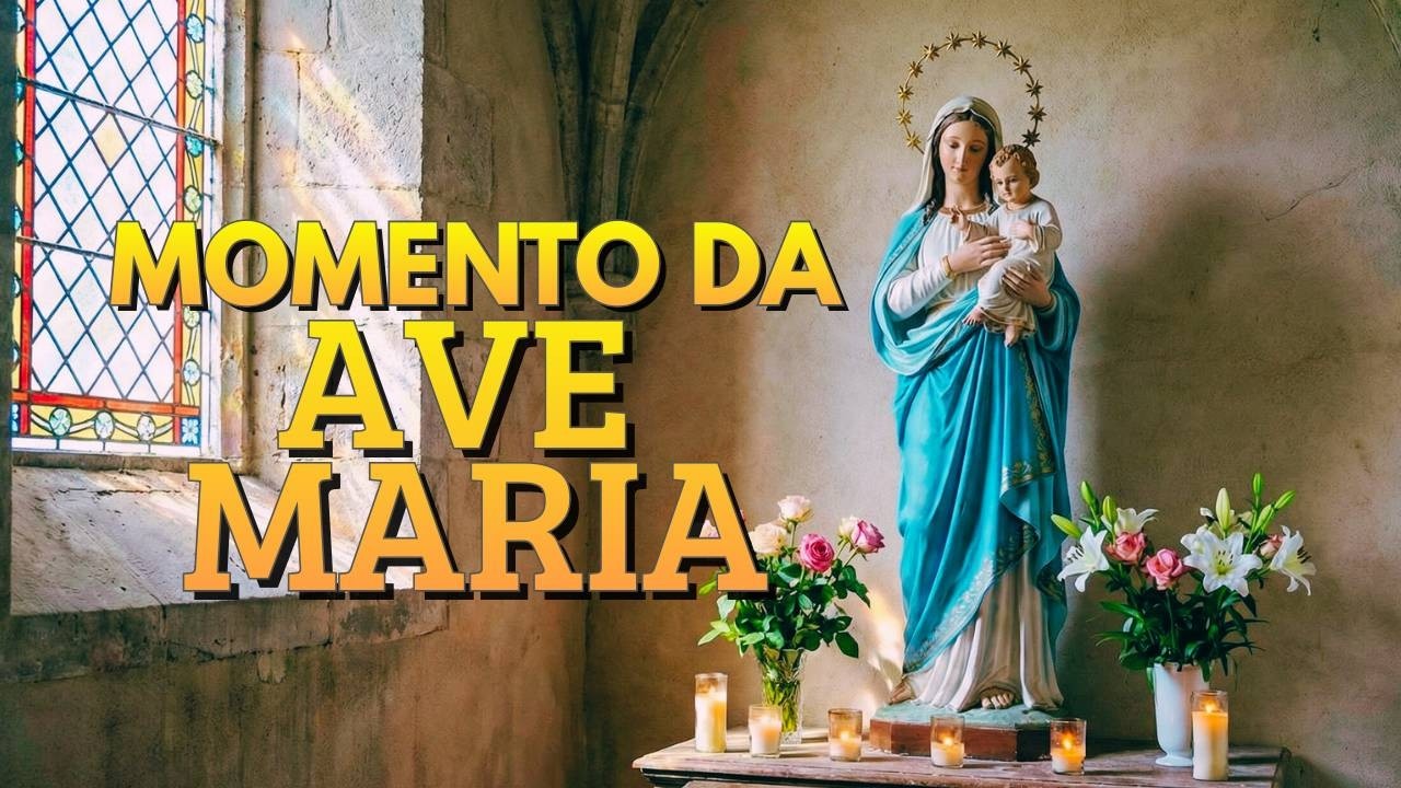 ORAÇÃO DO DIA | Entregue Suas Lutas de Hoje nas Mãos da MÃE DE DEUS