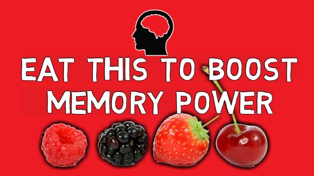 Best Foods to Boost Your Brain and Memory