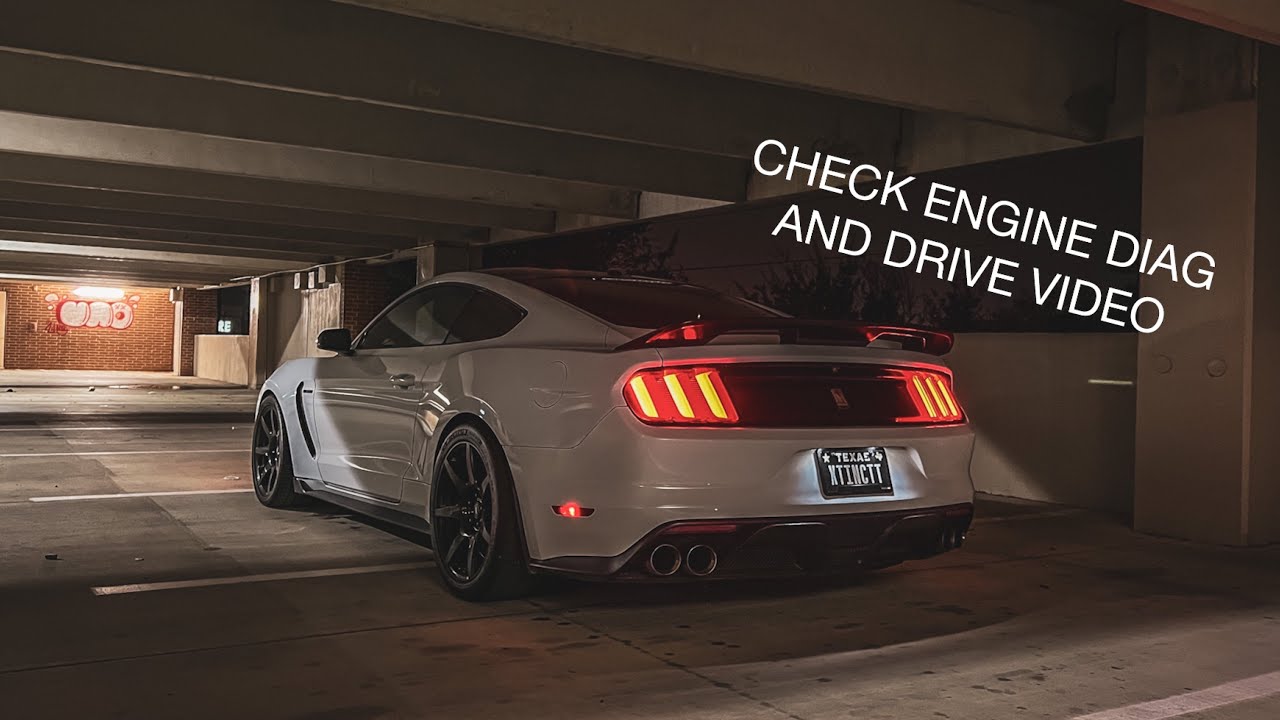 Shelby GT350 (s550) common issue
