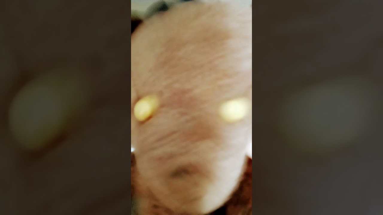Tato fuera de contexto #5