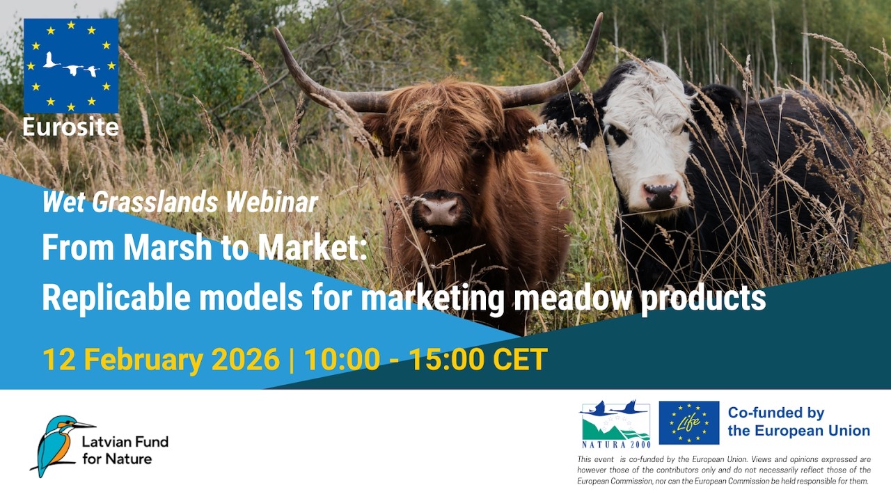 From Marsh to Market: Replicable models for marketing meadow products_20260212
