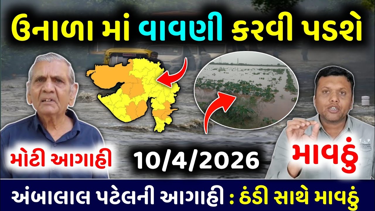 ભારે વરસાદની આગાહી 🔴 Live:ગાજવીજ સાથે વરસાદ, Rain Forecast in Gujarat in 24 hour, Weather Tv