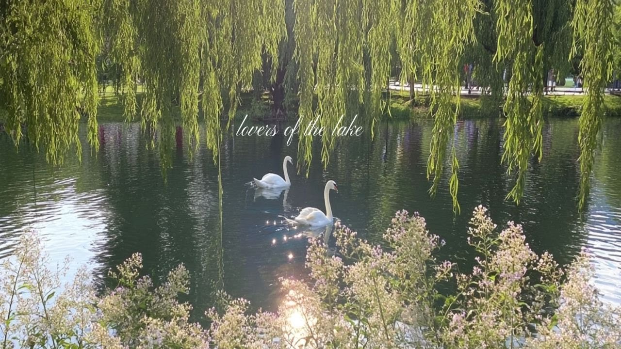 a quiet playlist like a serene lake for calm moments