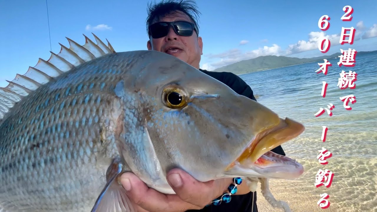 60オーバーのタマンを連続で釣ったどー！【Spangled emperor】
