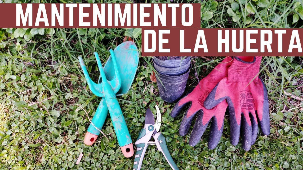Como Mantener la Huerta en Verano - Cultivos Voluntarios y Generación de Espacios