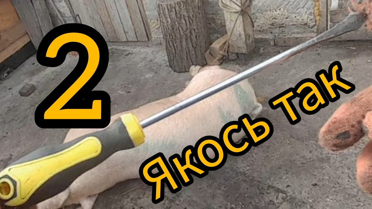 ТИХЕСЕНЬКО СВИНКА 170 КГ ТІЛЬКИ ПОЧУХАЛИ