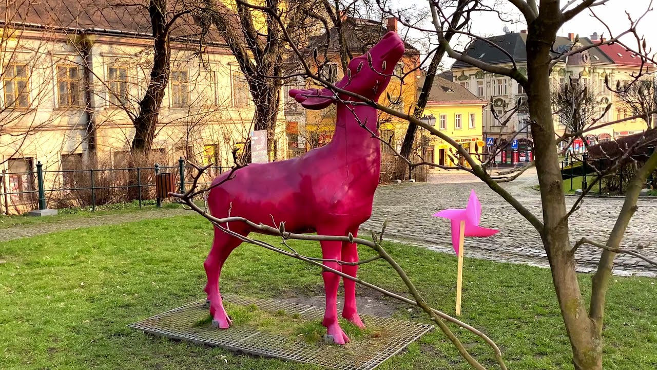 Cieszyn 2021 r.