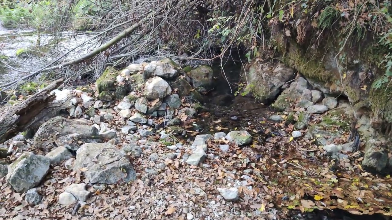 Izvor reke Gradac