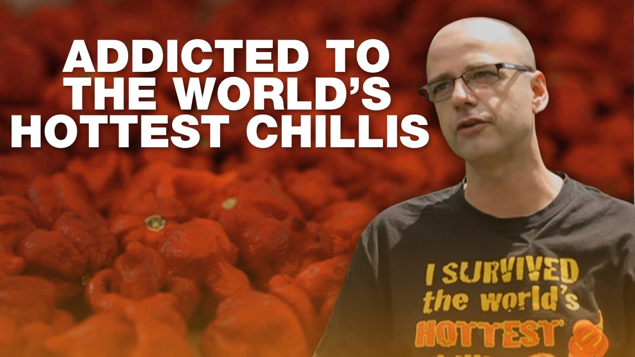 Painful regret – the chilli addicts