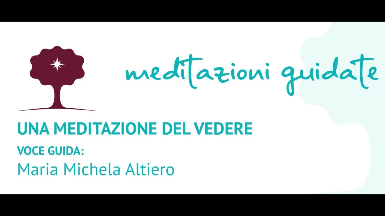 Mindfulness. Una meditazione del vedere