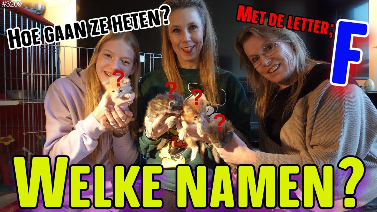 De NAMEN voor de KITTENS zijn BEKEND. Wat hebben jullie ons HIERBIJ SUPER GOED GEHOLPEN. Dank! #3209