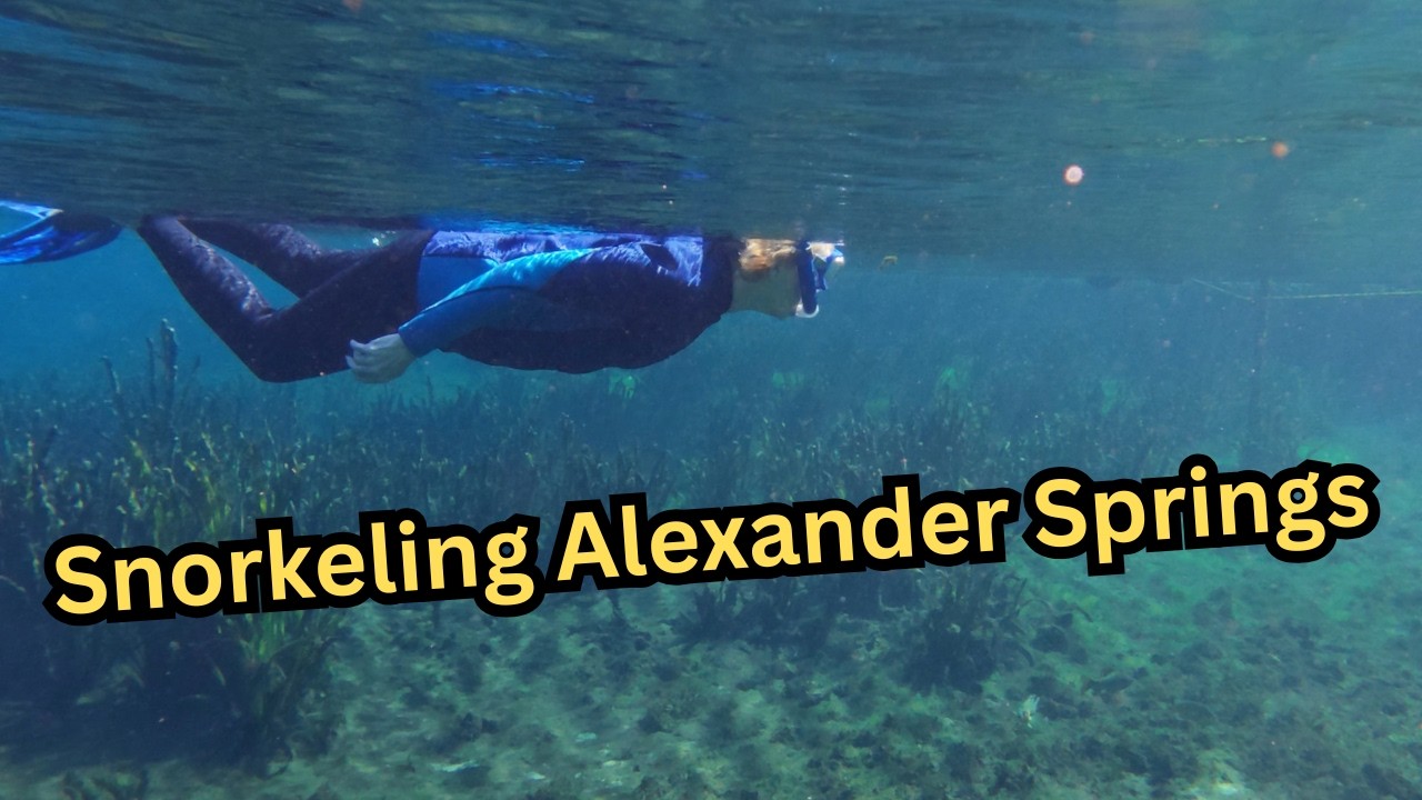 Snorkeling at Alexander Springs Florida (Ocala National Forest)