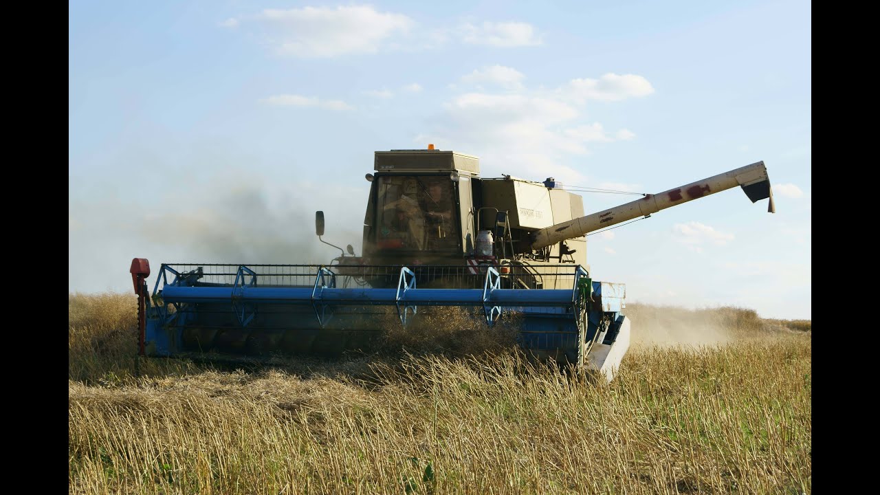 Rapsernte mit Fortschritt E516 B,  IFA L60