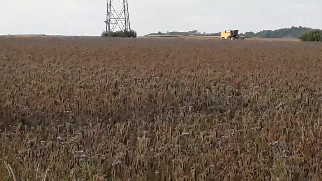 Die Ernte 2018 (Pyro Technicker Flo *HD*)