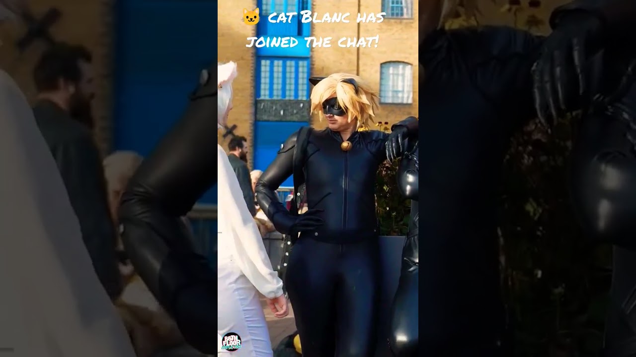 🙀 CAT BLANC has joined the Chat - Miraculous Ladybug 🤣 