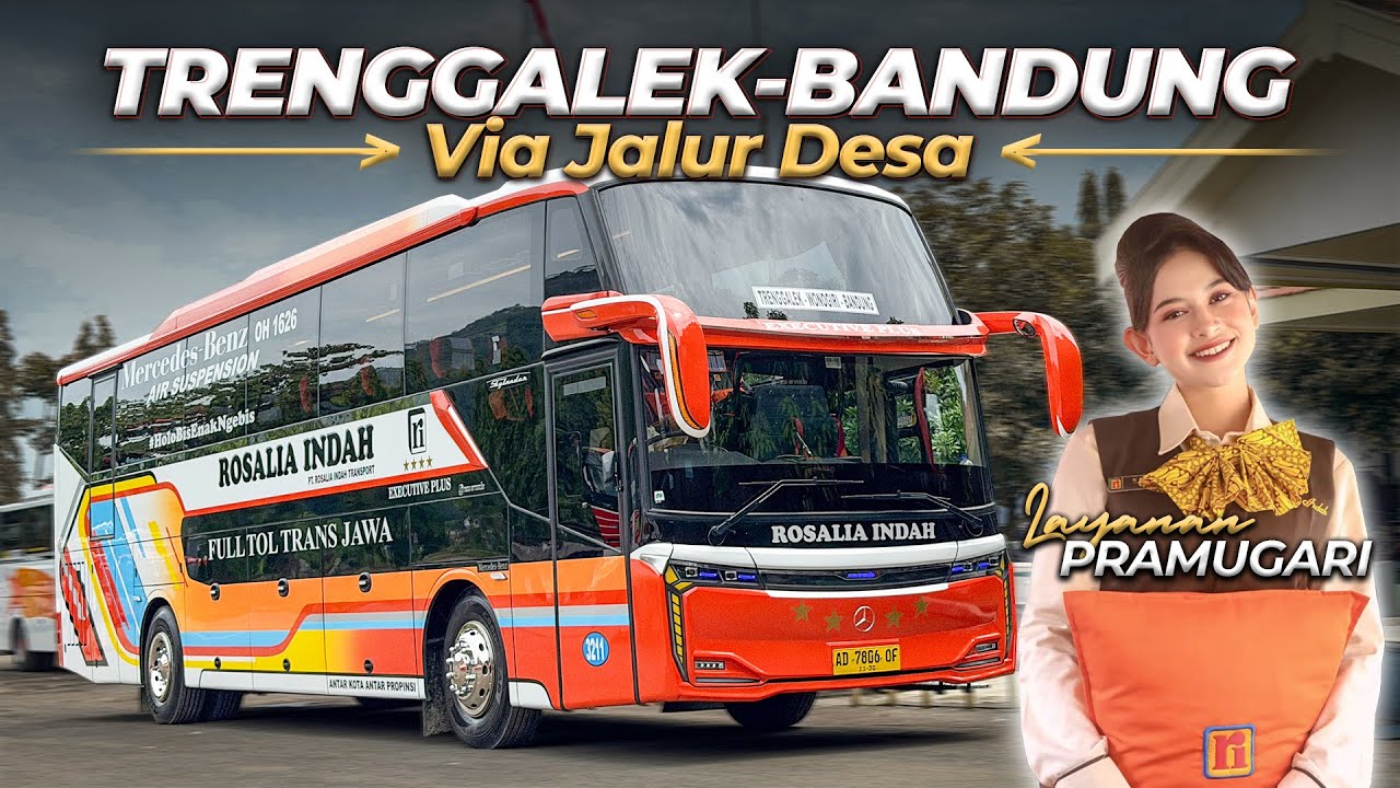 JALUR BARU UNIT BARU ‼️ Trenggalek Bandung Naik Rosalia Indah Skylander R25