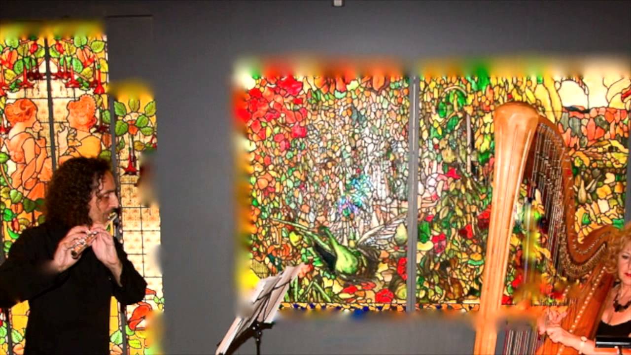 Iulian Gogu - flute; Kobie Du Plessis - harp; MEAM Barcelona 2014