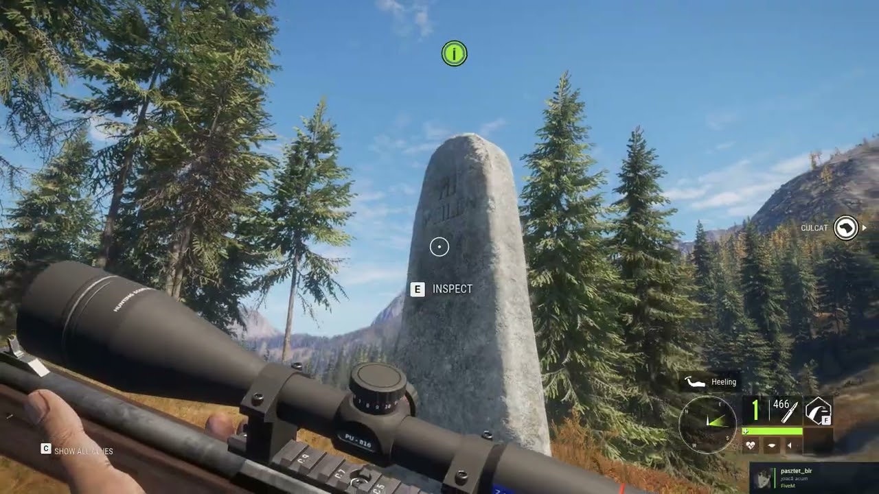 theHunter Call of the Wild - Gameplay 294