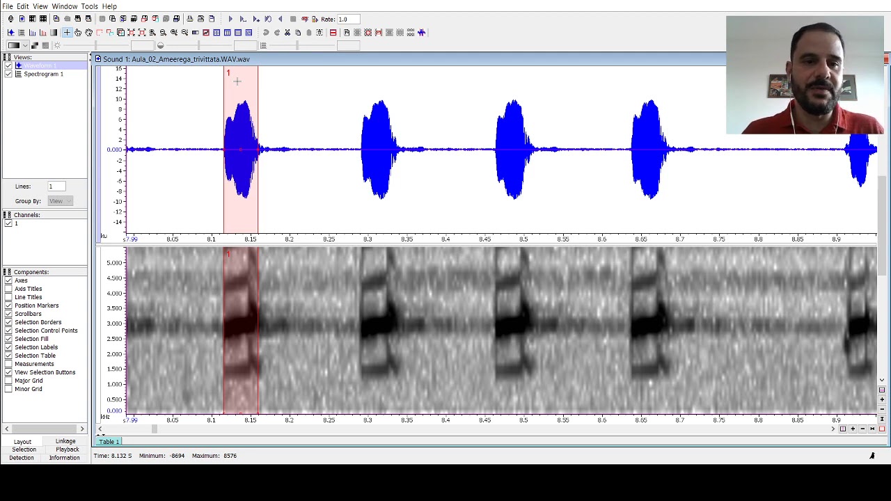 Introdução a análises bioacústicas usando o Raven - Aula 03