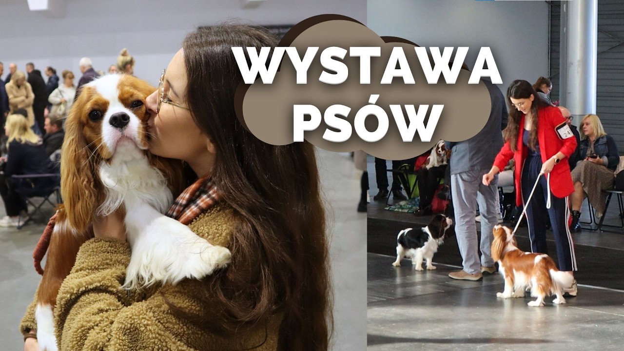 NASZA PIERWSZA WYSTAWA PSÓW RASOWYCH!