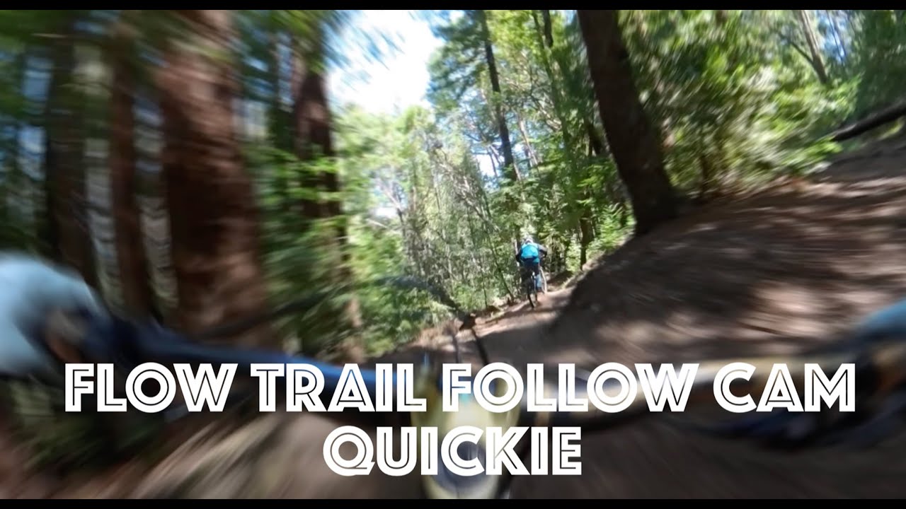 Demo Flow Trail Quickie MTB Santa Cruz, CA | Orbea Wild