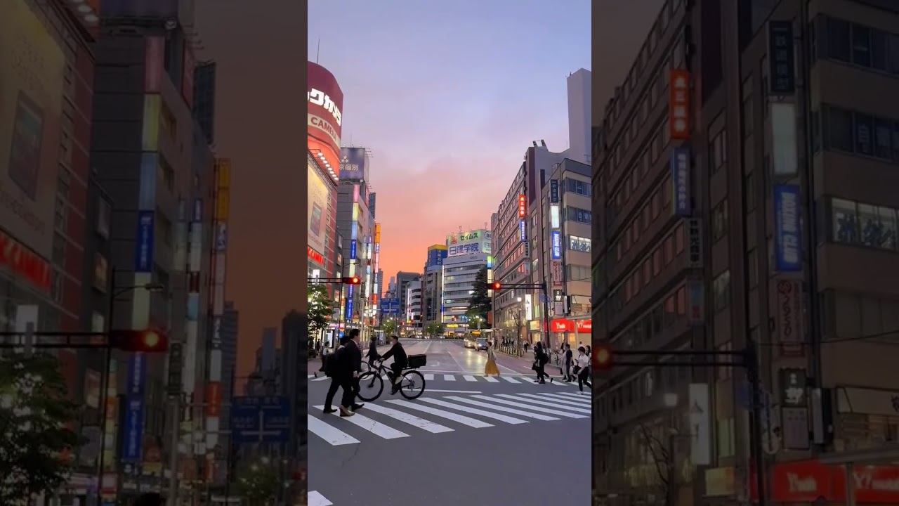 Tokyo Vibe