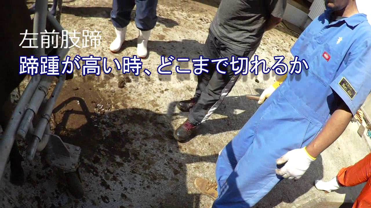 削蹄師目線　korosaku１