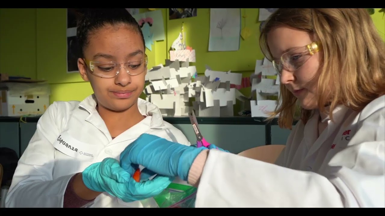 Inspiring the future generation of STEM leaders in Bleiswijk