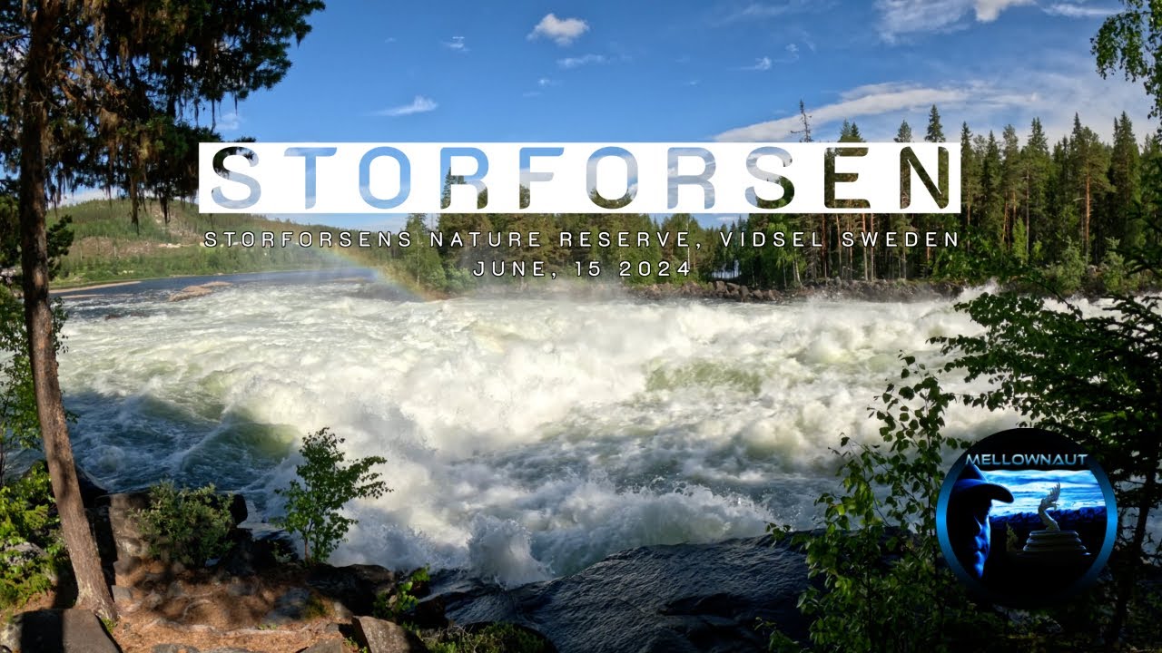 2024 Sweden Storforsen #northornever