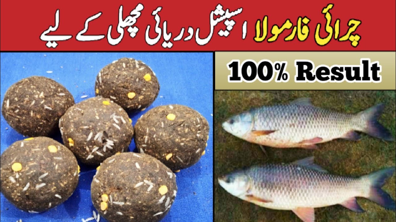 how to make fish ground bait | Charai Formula | rohu bait | mrigal carp bait