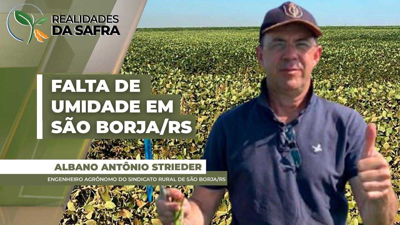 Lavouras de soja em São Borja/RS começam a apresentar sinais de déficit hídrico
