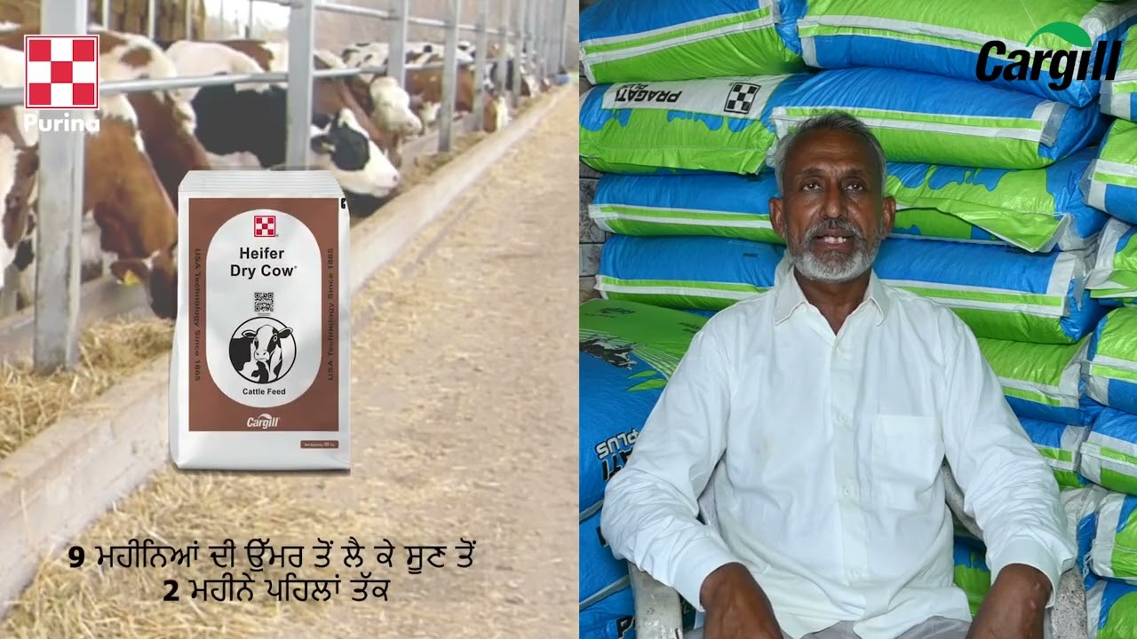@purina @CargillFeedIndia @Cargill 