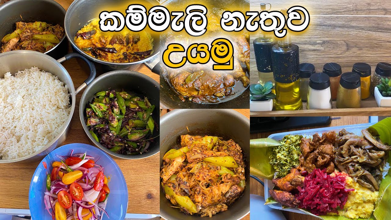 කම්මැලි නැතුව උයමු  😊🍳 | Menu Ideas | Sinhala | Fr.Diaries 🇫🇷