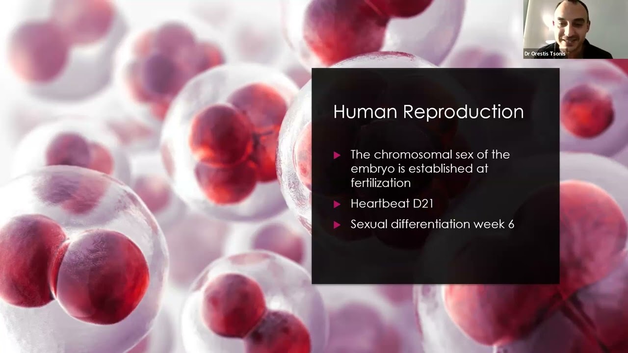 LGBTQ+ Fertility preservation for trans people and those supporting them through the journey