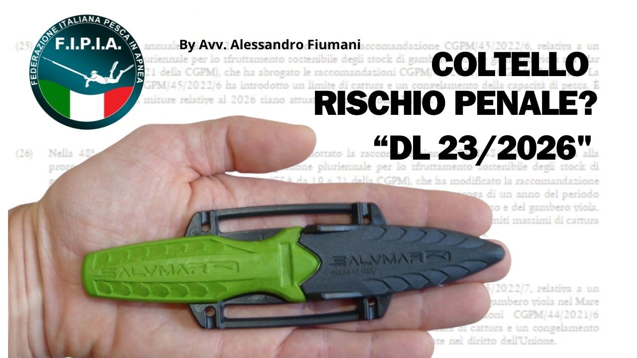 Ep.141 Decreto Sicurezza 2026 e pescatori in apnea: Cosa cambia?