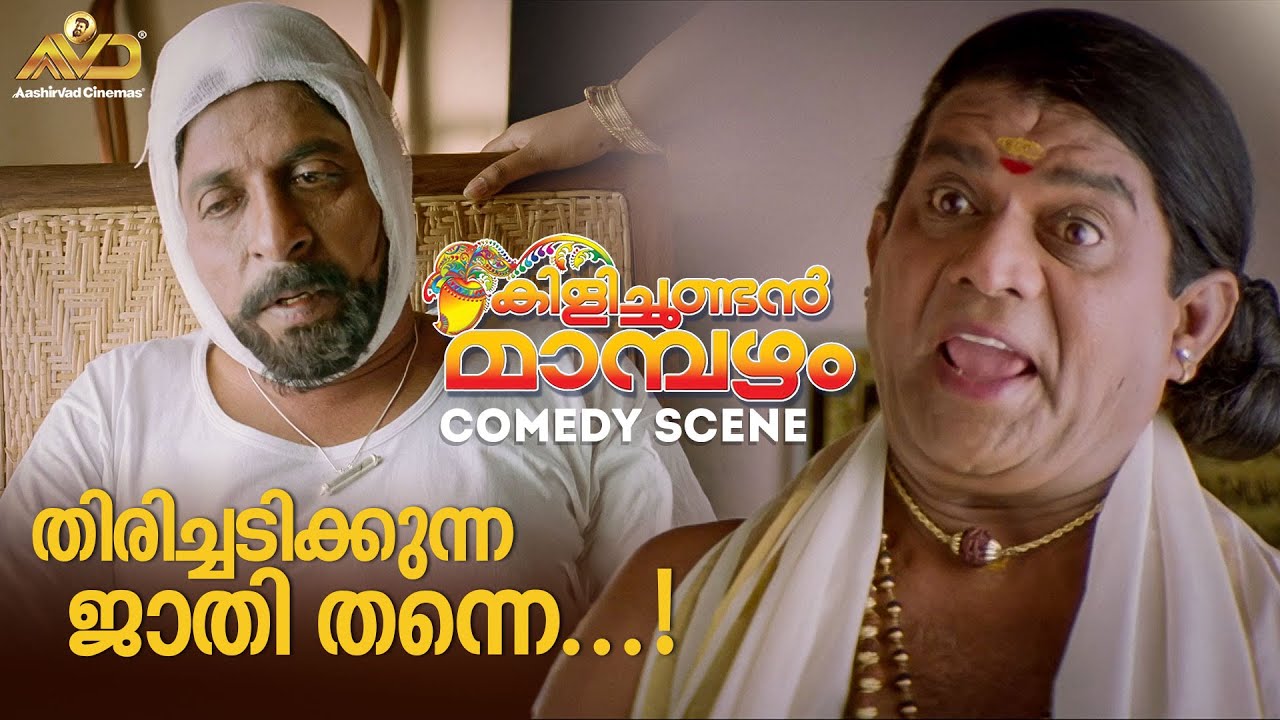 തിരിച്ചടിക്കുന്ന ജാതി തന്നെ...! | Kilichundan Mambazham Movie Scene | Mohanlal | Sreenivasan