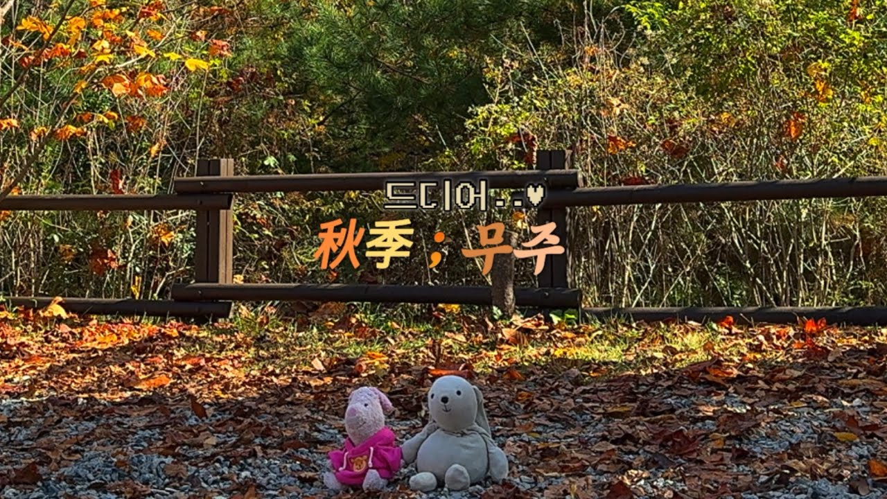 가을무주 단풍캠 2024 ᯓᡣᩚ𐭩 온핑IGT테이블 별거없는 개봉기 | 깊은골캠핑장 ⋰˚☆