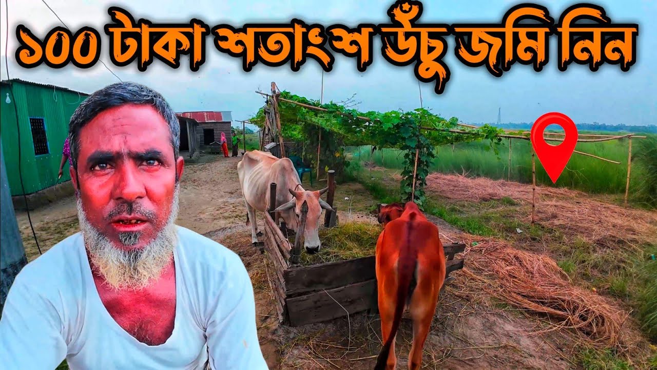 মাত্র ১০০ টাকা শতাংশ উচু জমি নিয়ে নিজের স্বপ্ন পূরণ করুন | পানির দামে উঁচু জমি পাওয়া যায় এখানে