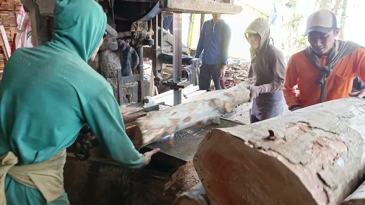 WOOOW HASIL BERLIPAT POTONG KAYU BESAR