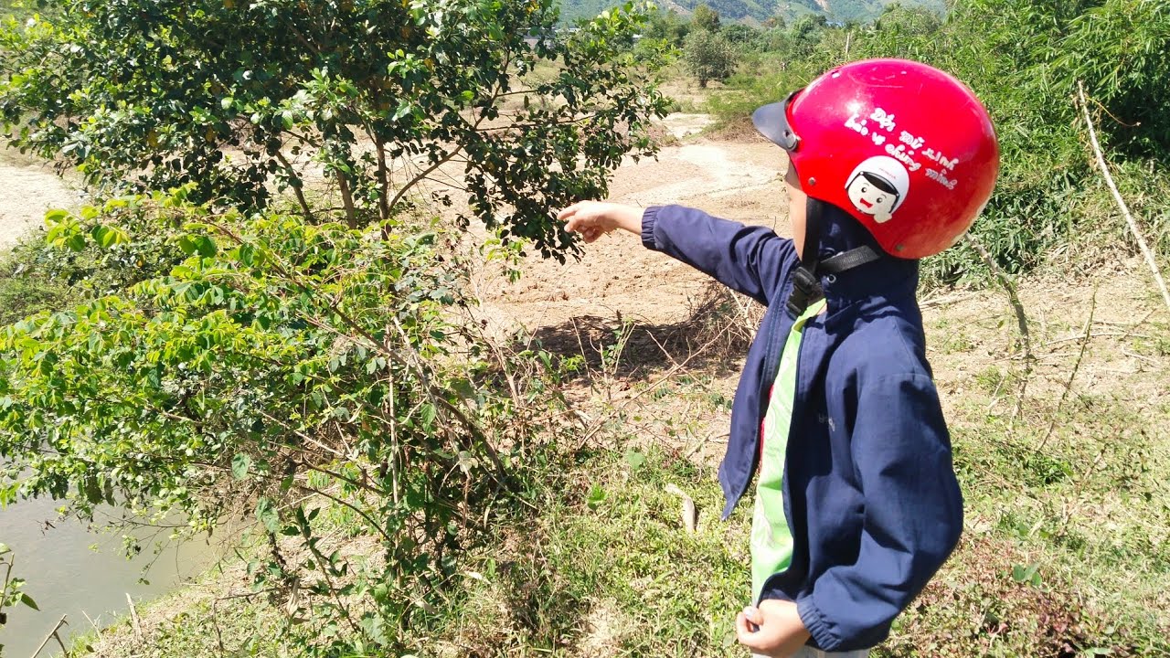 Cậu Bé Buồn Vì Non Nước Bị Tàn Phá