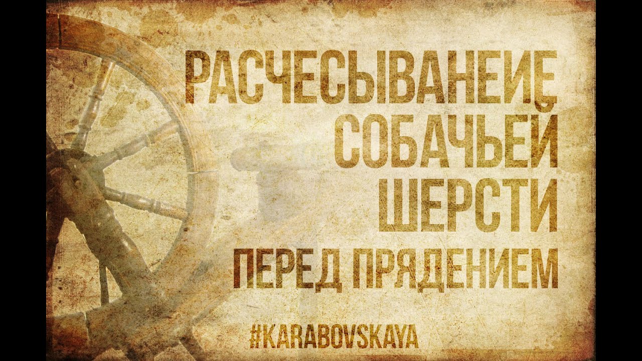 Расчесывание собачьей шерсти перед прядением.