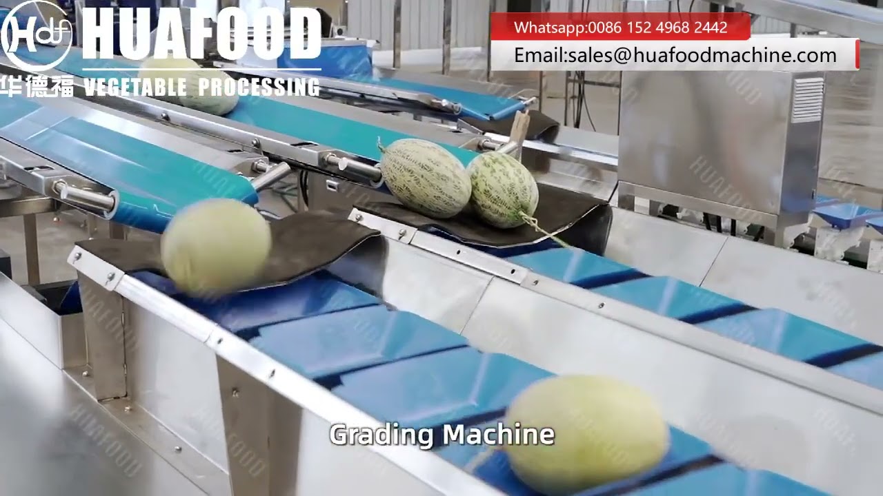 Turnkey Melon Fruits Weight Grading Machine With High Precision