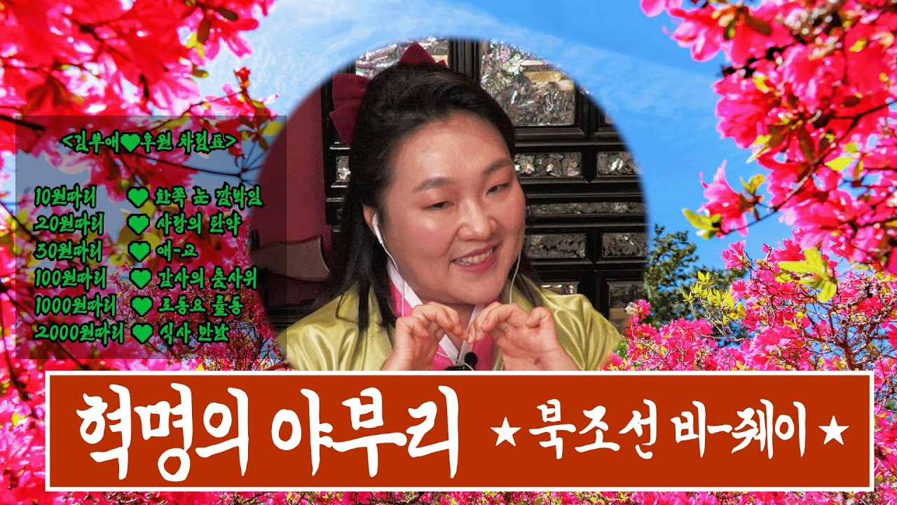 북조선 비줴이 김부애 당차게 인사올립네다.