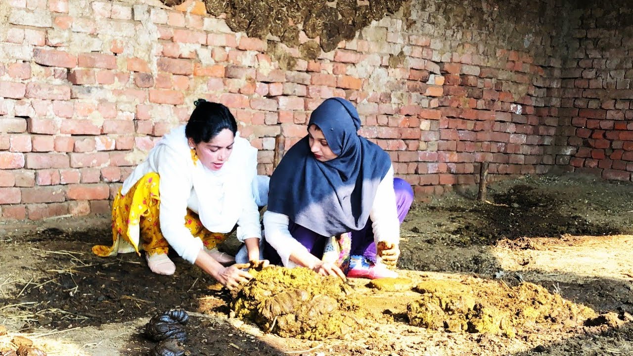 From Hands to Wall: Bushra Malik & Fatima Rajput’s Authentic Dung Cake Making Story