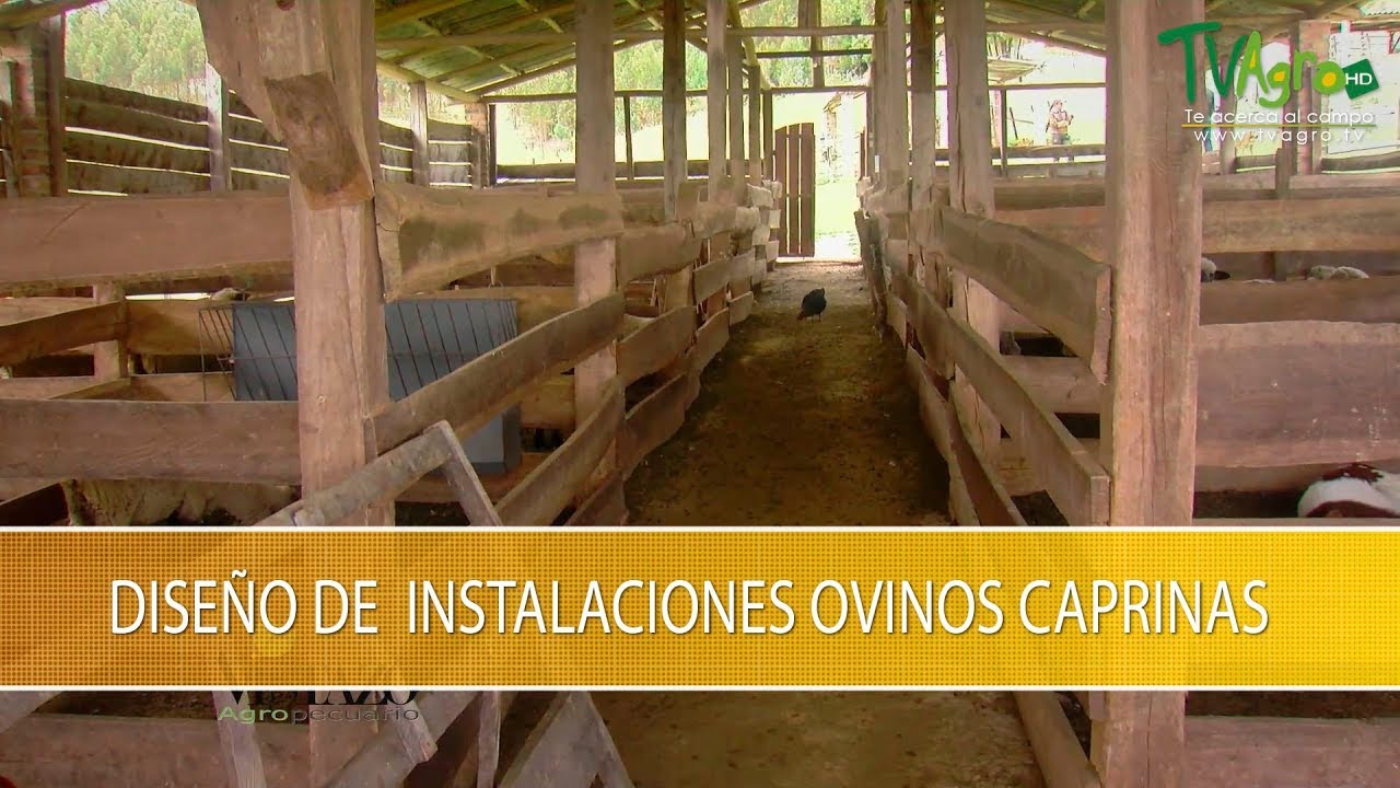 Ideas para Diseñar Instalaciones Ovino Caprinas- TvAgro por Juan Gonzalo Angel Restrepo