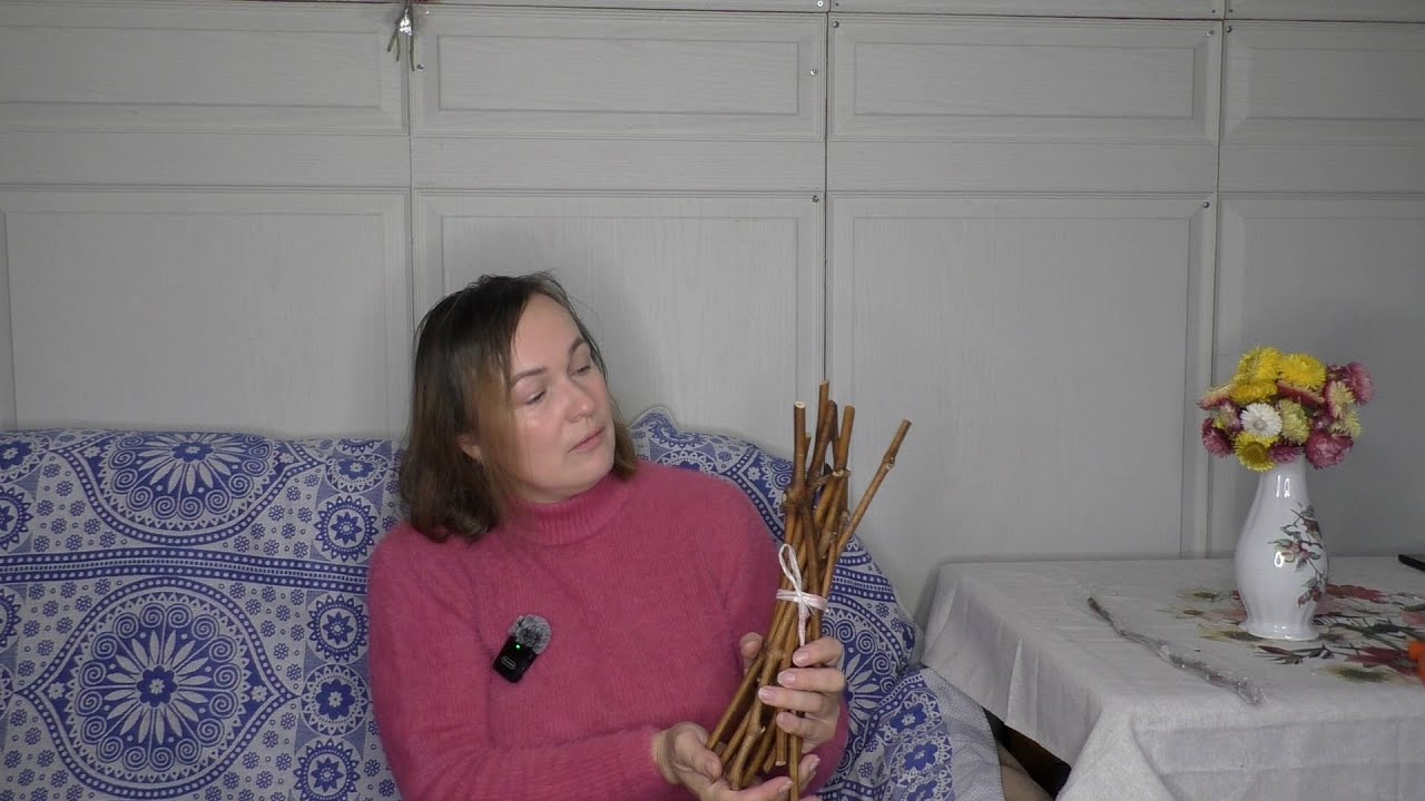 Хранение черенков винограда. Самые простые способы