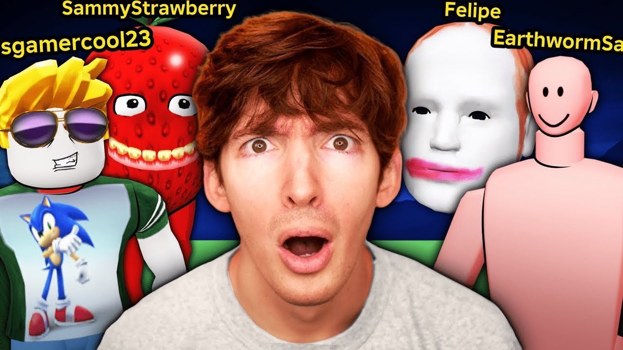 4 Hours of Flamingo Videos