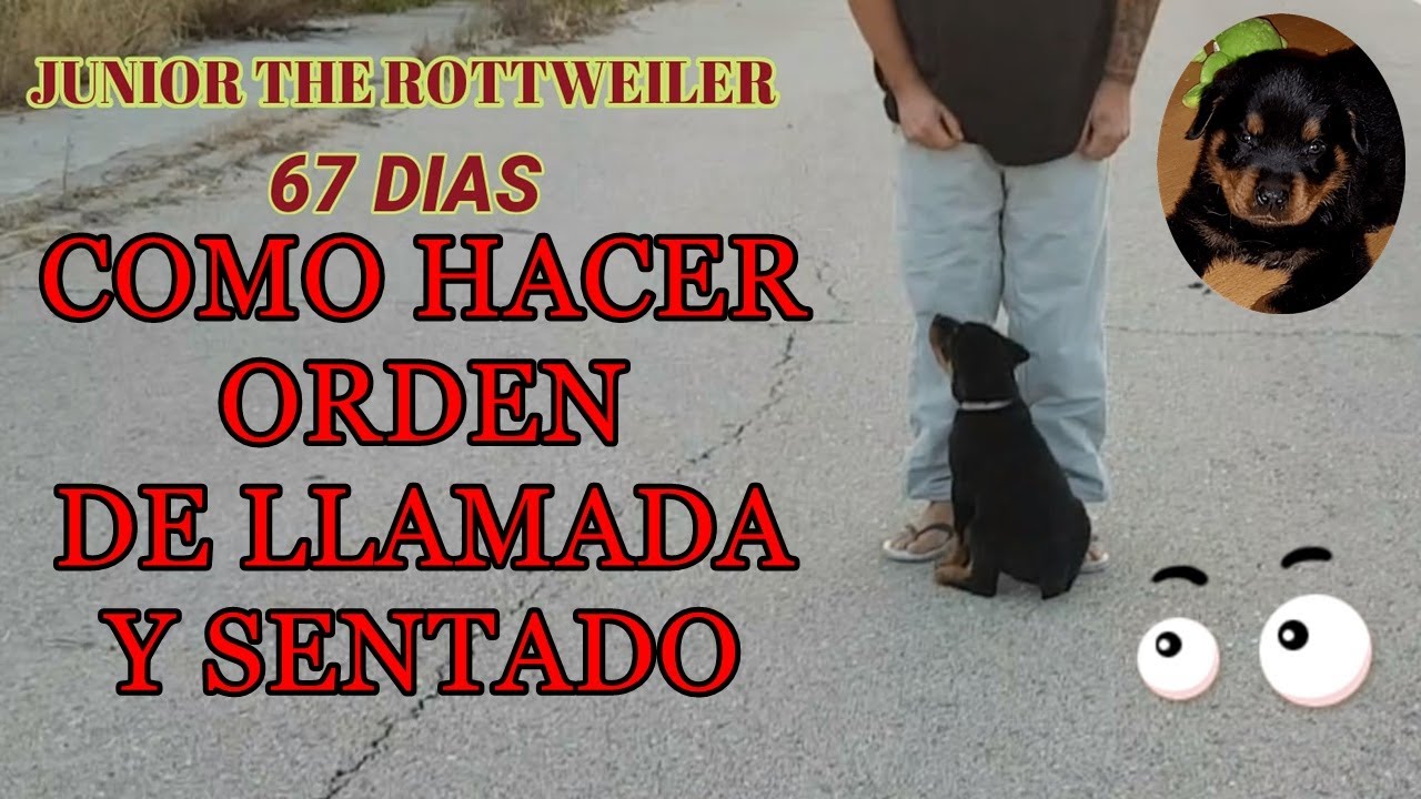 ORDEN DE LLAMADA Y SENTADO 