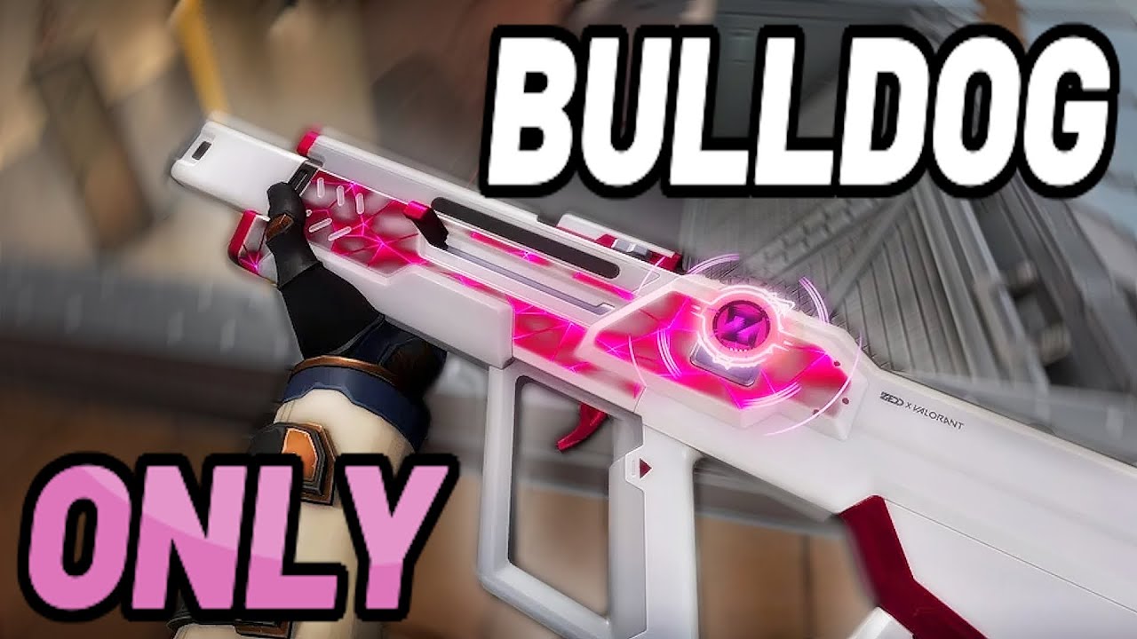SPECTRUM BULLDOG IS TOO UNDERRATED (VALORANT)